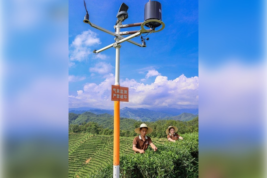 kitay-vysokie-tekhnologii-v-selskom-khozyaystve