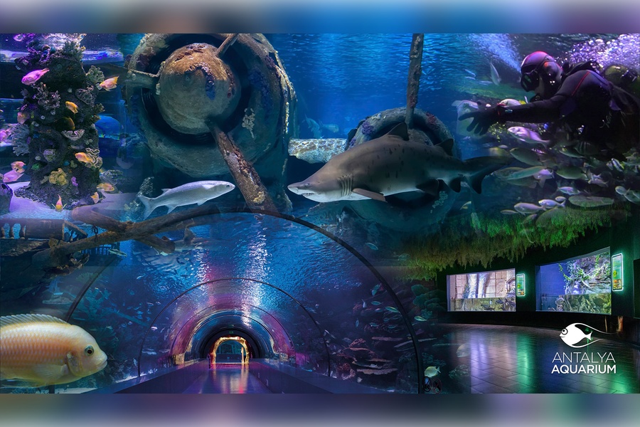 Antalya Aquarium 2