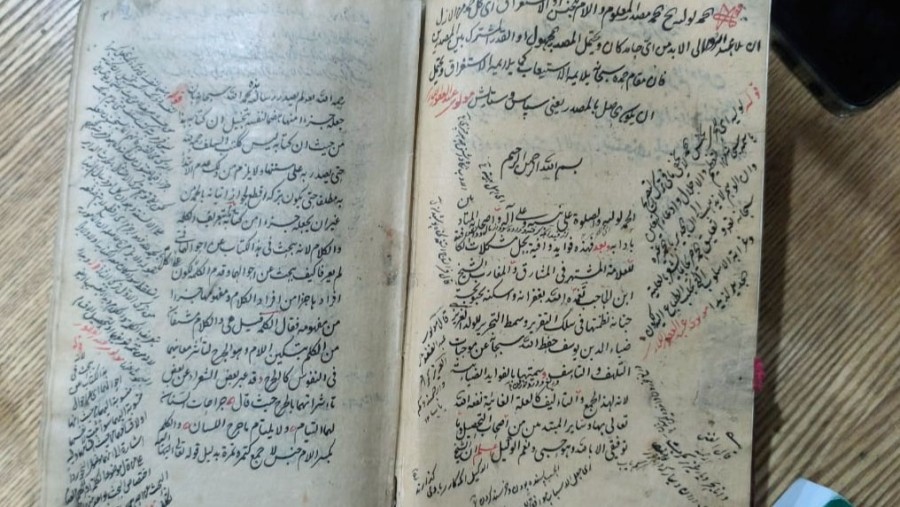 Учёные Туркменистана и Грузии