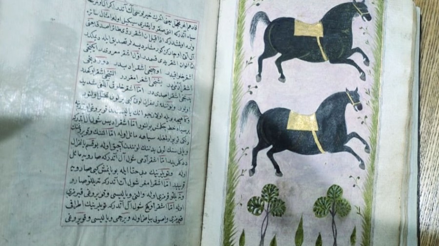 Учёные Туркменистана и Грузии