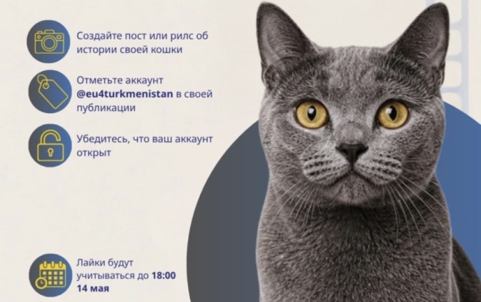  Конкурс от Делегации Европейского союза в Туркменистане на историю о вашем питомце