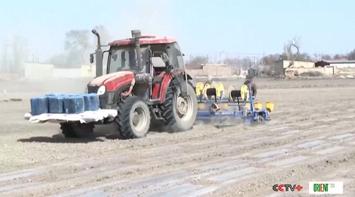  Оснащённая оборудованием BeiDou техника повышает эффективность посева хлопка в Синьцзяне