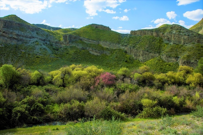 Музыкальная прогулка по горам от композитора Керимгулы Гаровова