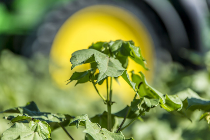  Сердар Бердымухамедов поручил диверсифицировать аграрные исследования: поездка в Марыйский велаят