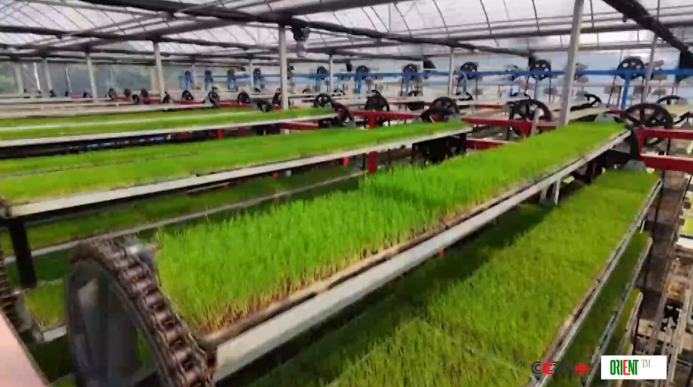  Автоматизация ускоряет весеннюю вспашку в Фуцзяни благодаря «умному» сельскому хозяйству