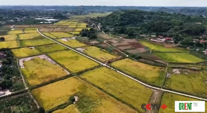  Национальный политический советник назвал законопроект «китайским подходом» к этническому единству