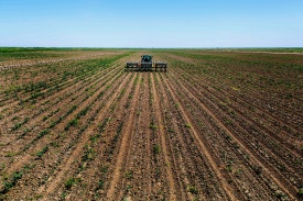 АПК Туркменистана увеличил объемы производства на 9,3%, идет закладка урожая-2026