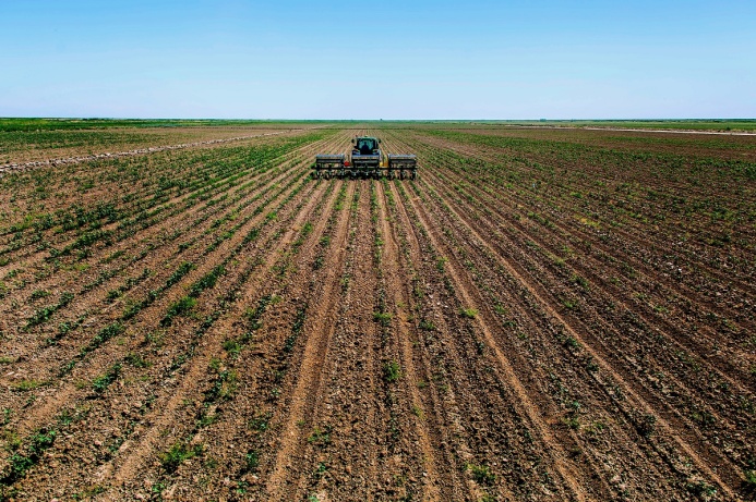 АПК Туркменистана увеличил объемы производства на 9,3%, идет закладка урожая-2026