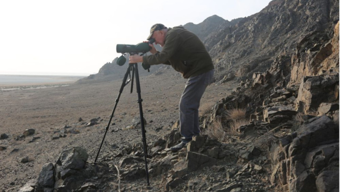  На туркменском побережье Каспия специалисты проводят зимний учёт птиц