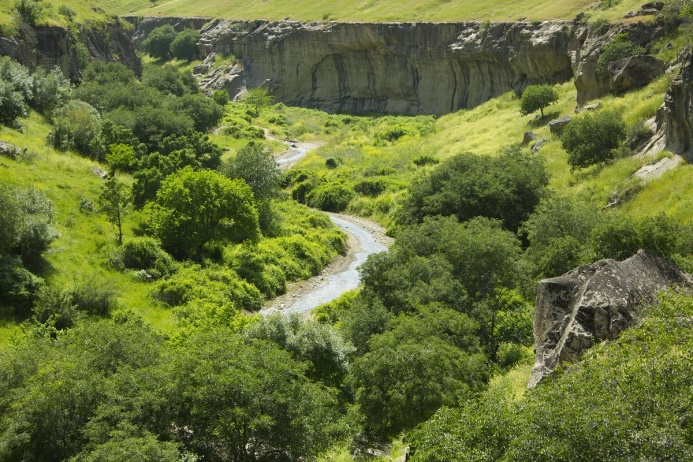  Водную безопасность ЦА рассмотрят в Ташкенте на региональном форуме