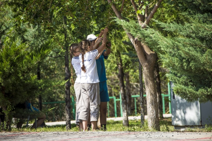  Три миллиона саженцев пополнят зеленые зоны Туркменистана