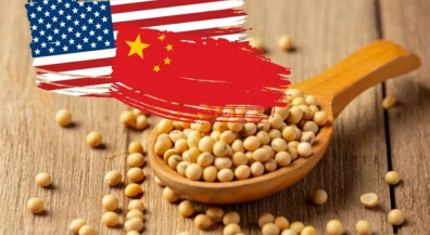 Соевый балласт: Как торговля соей стала ключом к отношениям США и Китая