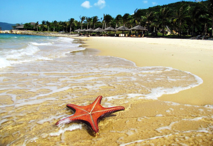  Тур в Нячанг по доступной цене появился у Le.Travel