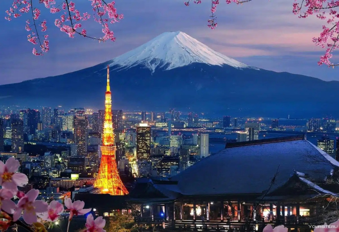  Kyodo: саммит Япония – Центральная Азия состоится 20 декабря