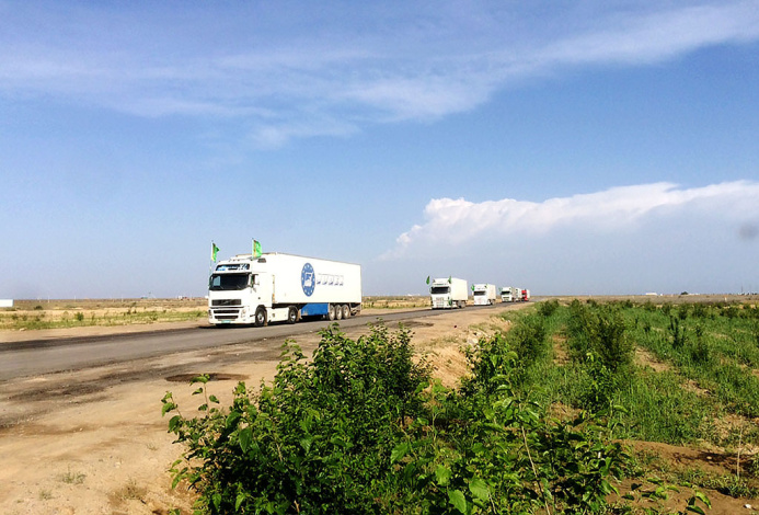  Председатель Кабмина Исламского Эмирата Афганистан поблагодарил Туркменистан за гумпомощь