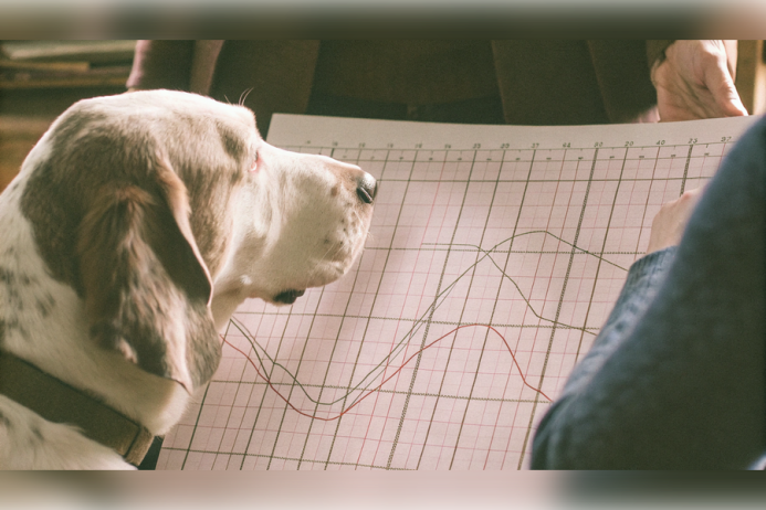  Виртуальный ветеринар: как нейросеть PetHealthPredictor меняет уход за питомцами