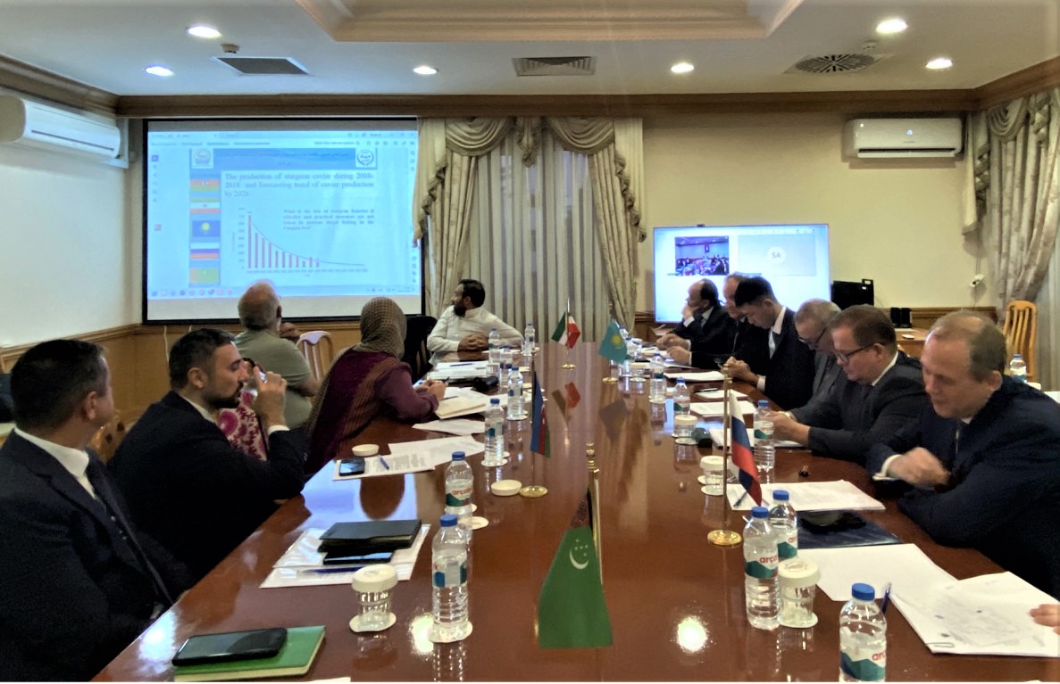 kaspiy-moraloriy-osetr-2026-ashhabad (2).jpeg