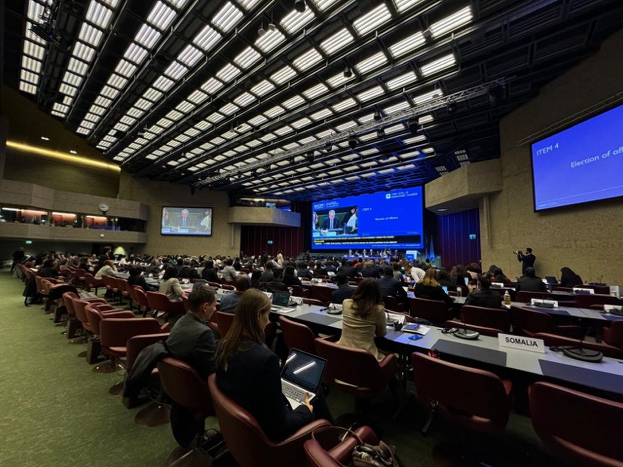 08122025-turkmenistan-iom-sovet-migratsiya-zheneva (1).jpg