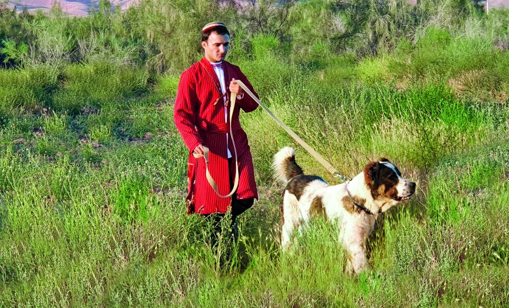 nominacia-turkmenistan-alabai-unesco (4).jpg