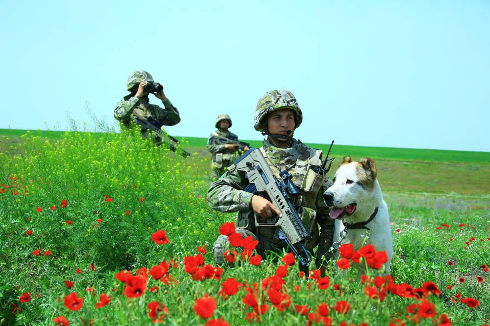 nominacia-turkmenistan-alabai-unesco (2).jpg