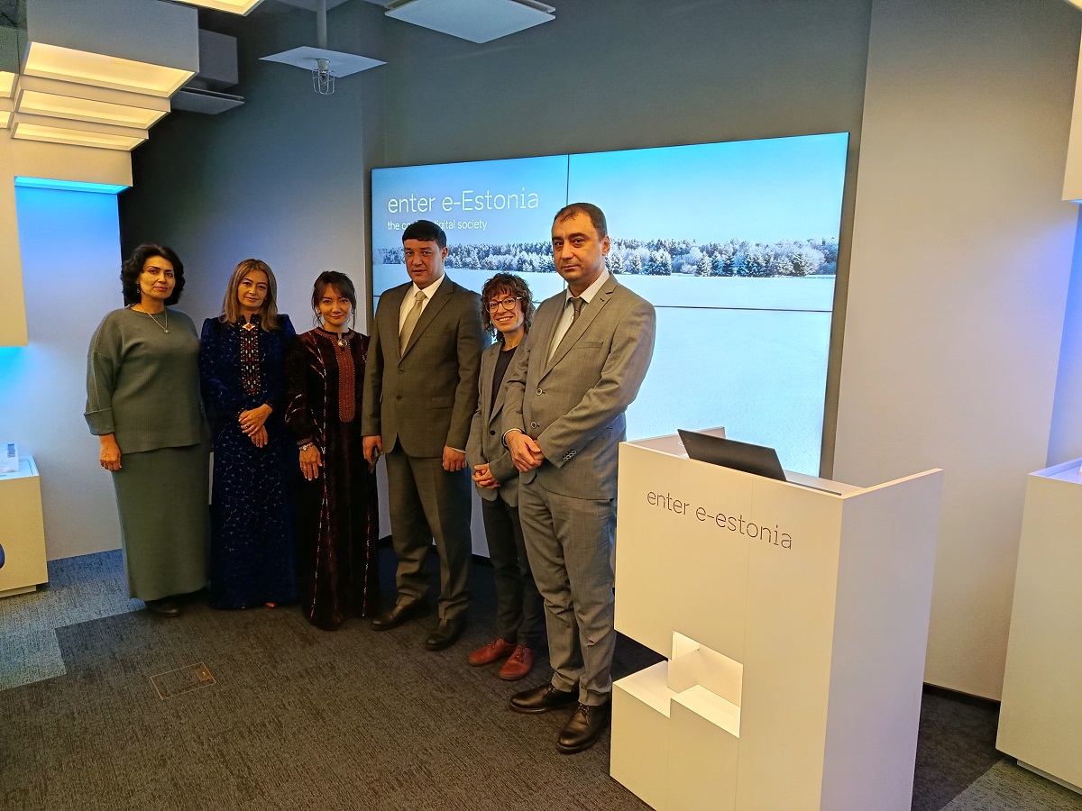 turkmenistan-estonia-undp-digital-stats (2).jpg