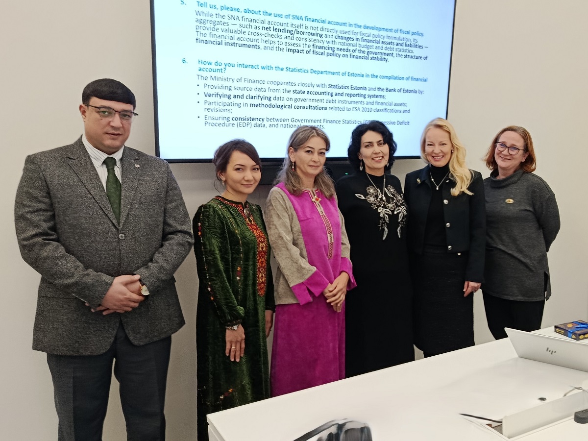 turkmenistan-estonia-undp-digital-stats (3).jpg