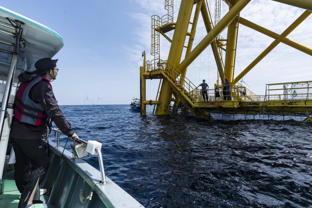 offshore-wind-energy (3).jpg