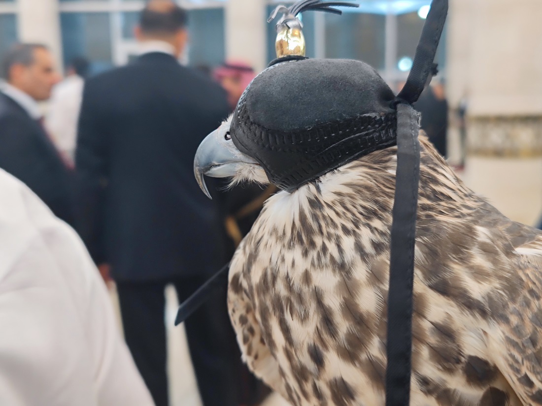 10. Сокол крупно.jpg