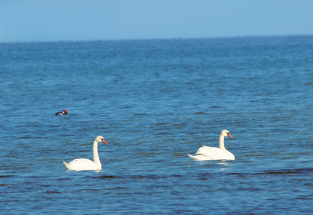 Магадов 1 (138).JPG