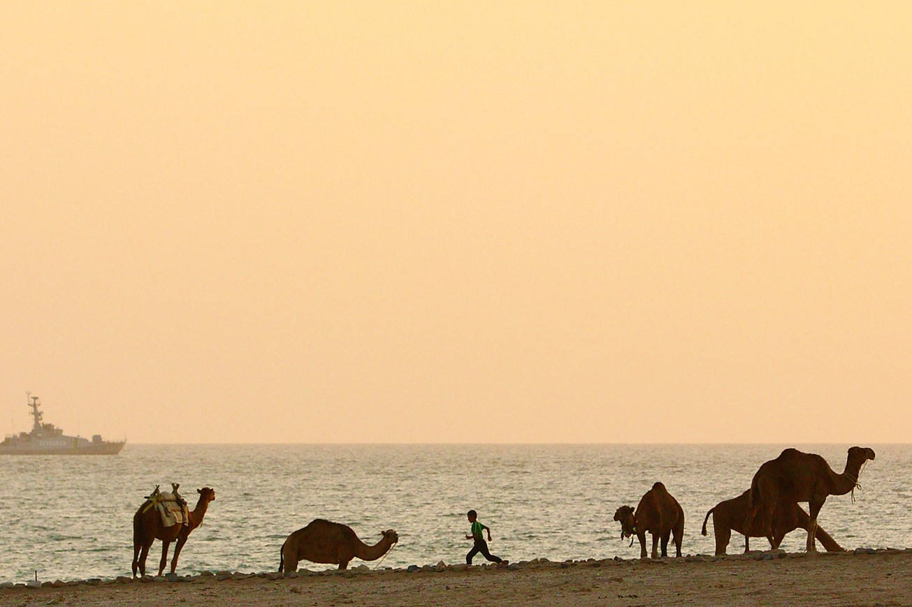 03022026-camel-diseases-research-center-central-asia (1).jpg