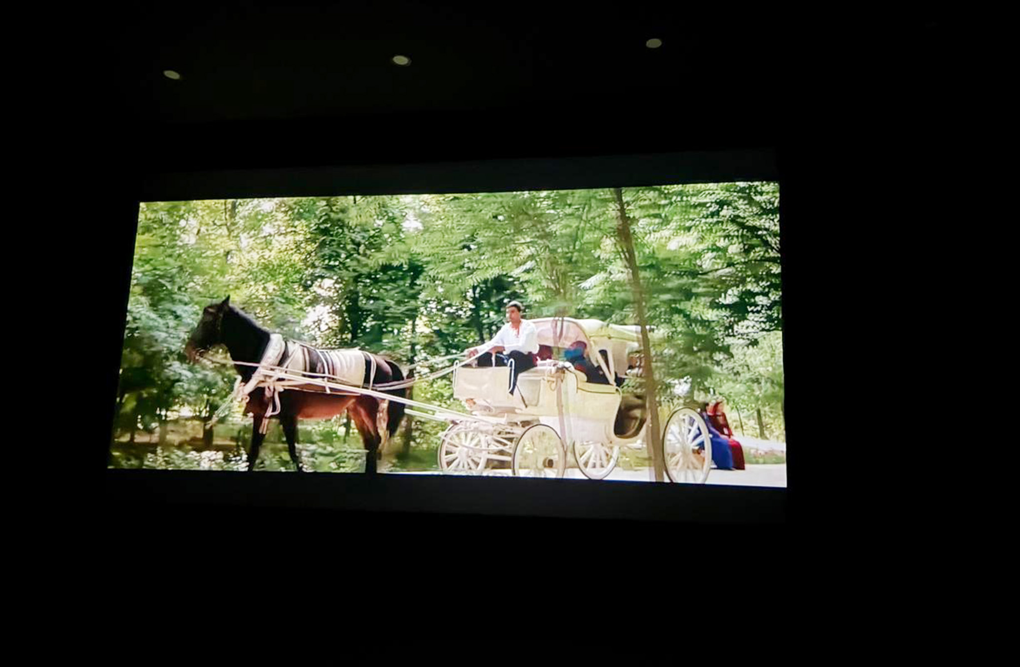 culture-will-save-the-world-film-premiere-tbilisi (4).jpg