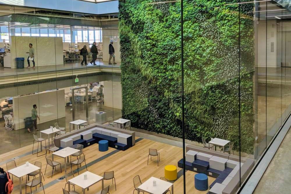30032026-immersive-ecosystems-biophilic-office-design.jpg