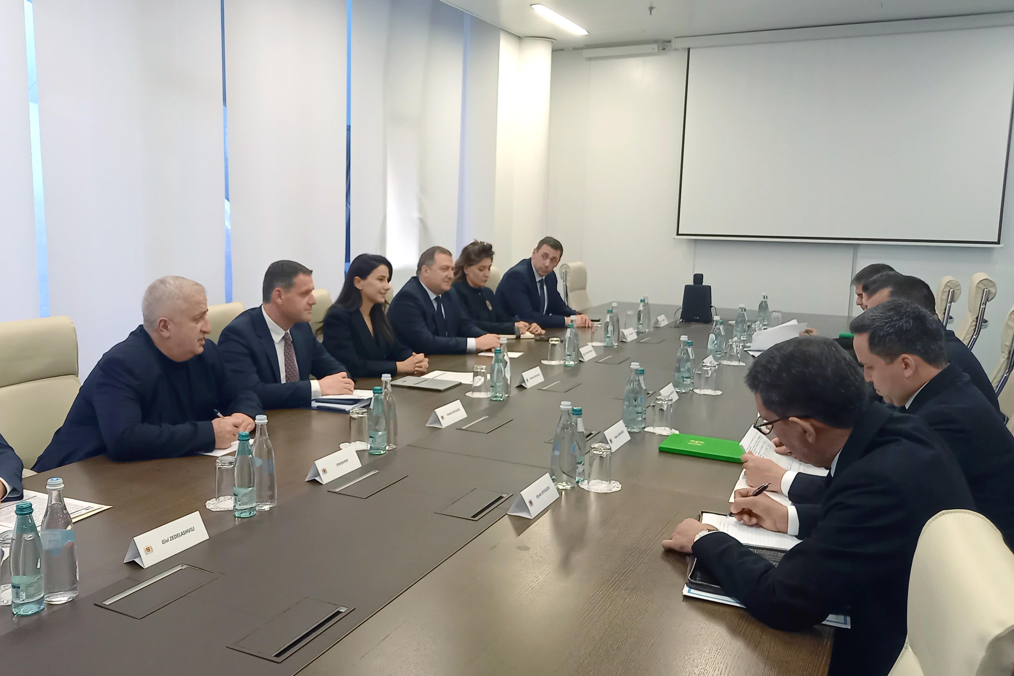 turkmenistan-georgia-economic-cooperation-meeting-tbilisi (3).jpg