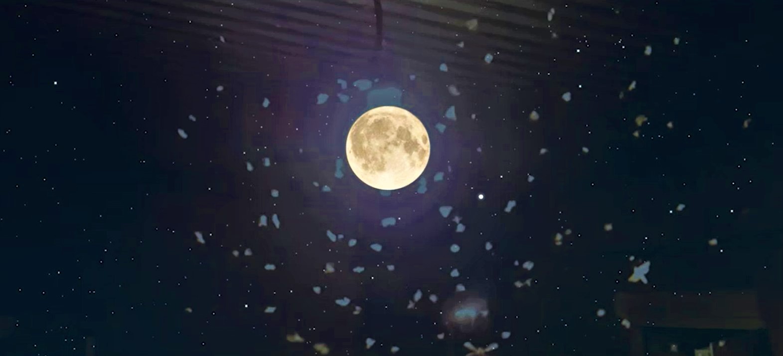 deti-solntsa-i-vody-turkmenistan (5).jpg