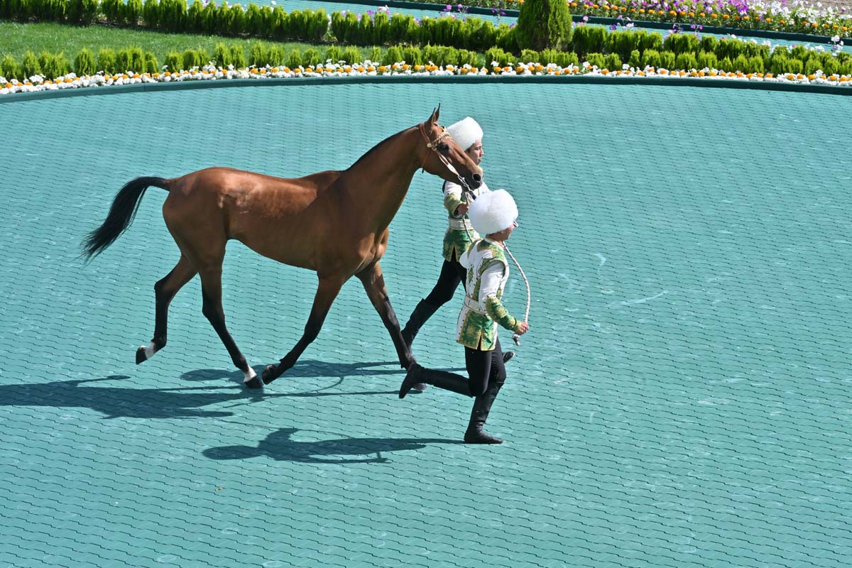 turkmen-horse-day-2026-ashgabat-celebration-khankerven (2).jpg
