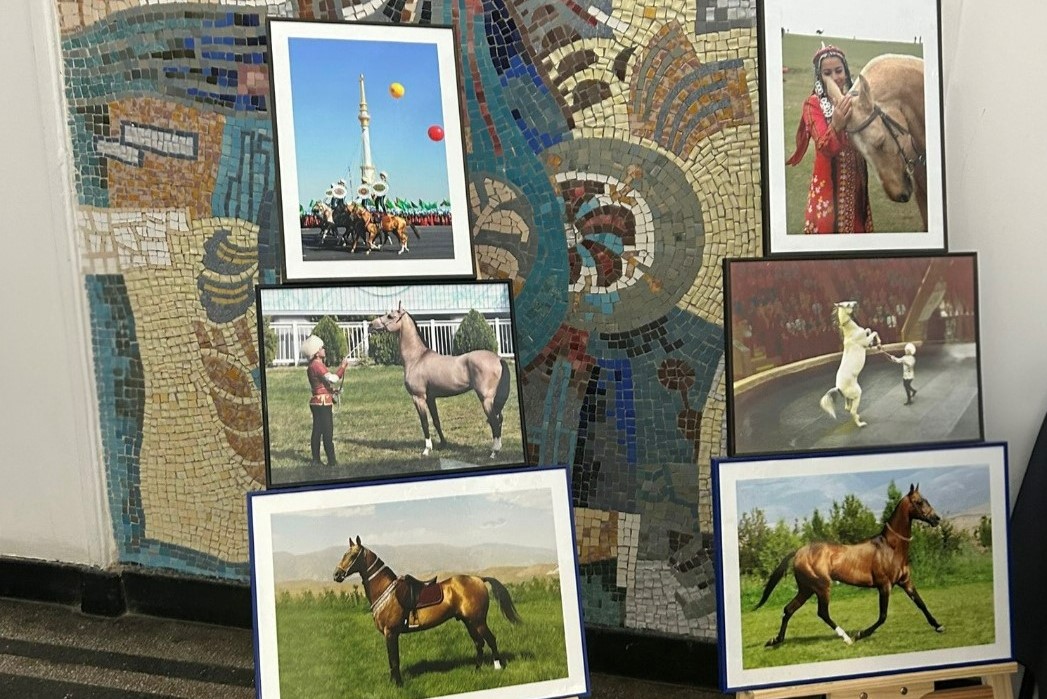 turkmenistan-romania-equine-science-roundtable-2026 (3).jpg