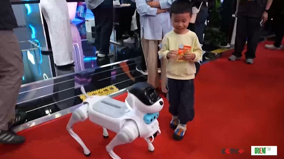 Многофункциональные роботы-помощники стали звездами саммита Digital China в Фучжоу