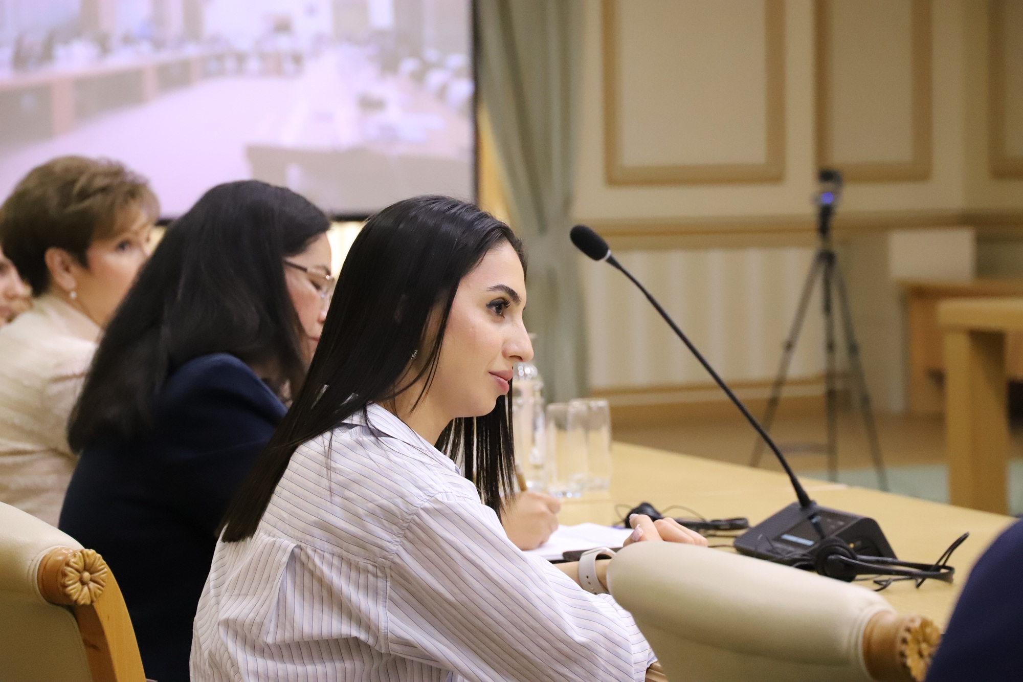 undp-uk-embassy-climate-group-meeting-ashgabat (5).JPG