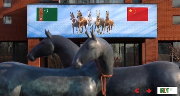  Туркменский лидер подарил Китаю ахалтекинского коня, подчеркнув общее наследие в Год Лошади