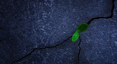 Почему управляемый дискомфорт — это ключ к продуктивной неделе