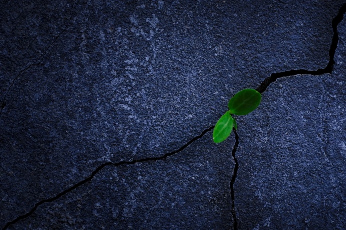  Понедельник без прокрастинации: почему управляемый дискомфорт — это ключ к продуктивной неделе