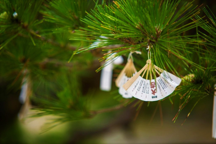  Дарума, моти и 108 ударов: как встретить 2026 год по-японски