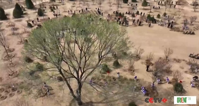  Си Цзиньпин возглавил юбилейную акцию по озеленению