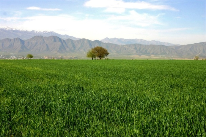  Agricultural Calendar and Social Priorities on the Agenda of the Meeting with the President of Turkmenistan
