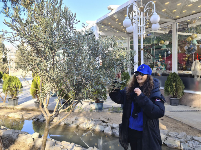  Подари другу дерево, и оно принесет плоды добра…