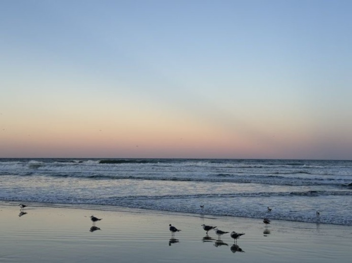  Азербайджан начнет производство питьевой воды из морской воды