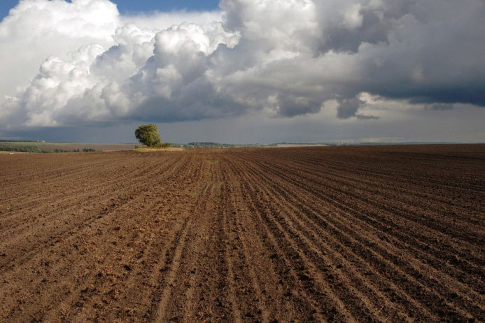  Аграрный марафон и зимний сезон: основные темы совещания Президента Туркменистана с главами регионов