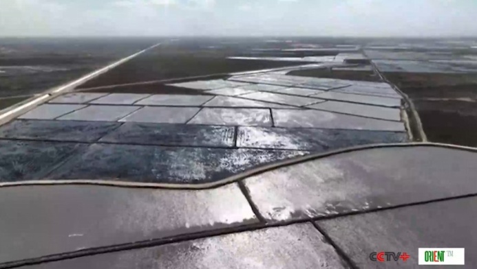  Дроны с искусственным интеллектом обеспечивают повышение эффективности весенней вспашки