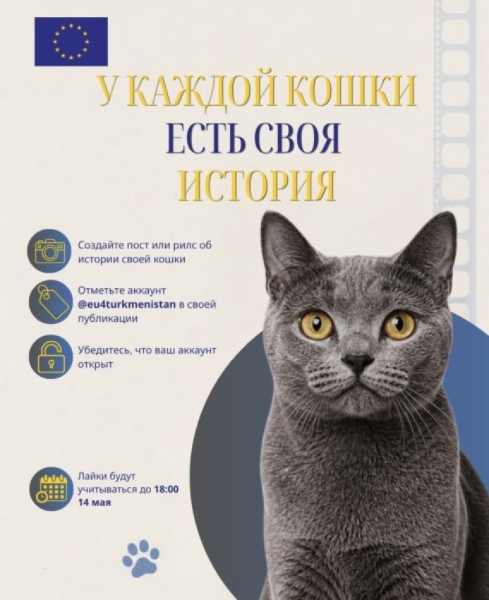  The European Union Delegation to Turkmenistan Is Launching a Contest to Tell a Story About Your Pet