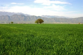 Аграрный календарь и социальные приоритеты в повестке совещания у Президента Туркменистана